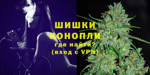 тгк Каменка