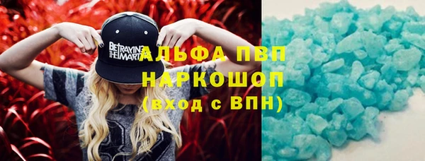 тгк Каменка