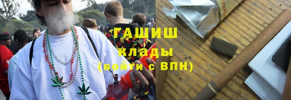 тгк Каменка