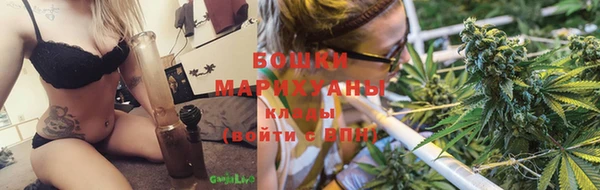 тгк Каменка