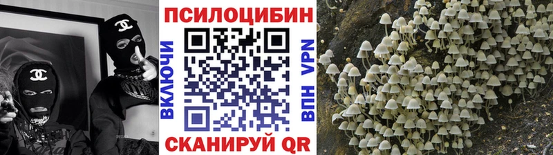 Галлюциногенные грибы прущие грибы Купить Опочка